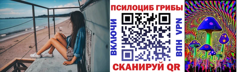 Псилоцибиновые грибы MAGIC MUSHROOMS  маркетплейс наркотические препараты  Суровикино 